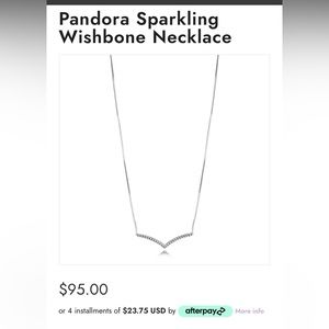 Pandora Wishbone Necklace